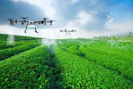 Smart Farming Teknologi Pertanian Cerdas untuk Masa Depan